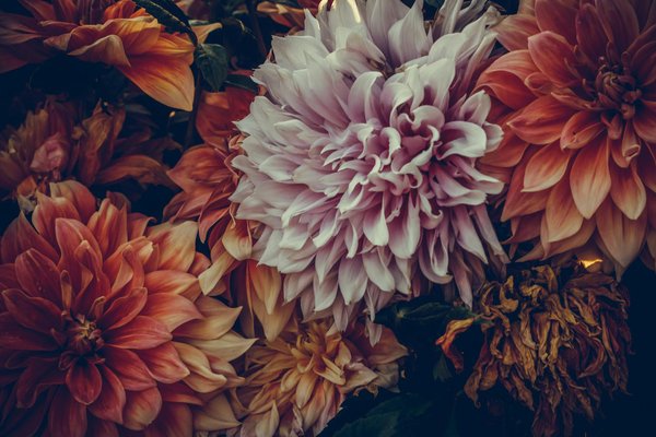 Douche solaire de piscine : avantages et installation facilement