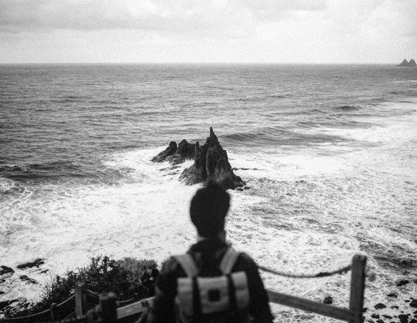 Quelles sont les plantes couvre-sol idéales pour un jardin sec et ensoleillé ?